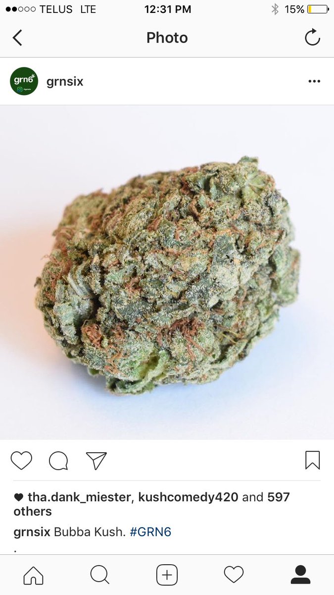grn_six's tweet photo. Check us out on instagram 😄😄 all pics are original!!!! https://t.co/hHFeBGaCdZ
