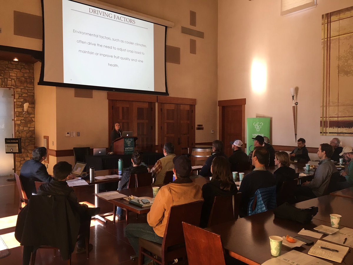 #VR2016 Jean Dodson Peterson is talking right now at the #PasoRobles vintage report about effect of #cluster thinning timing