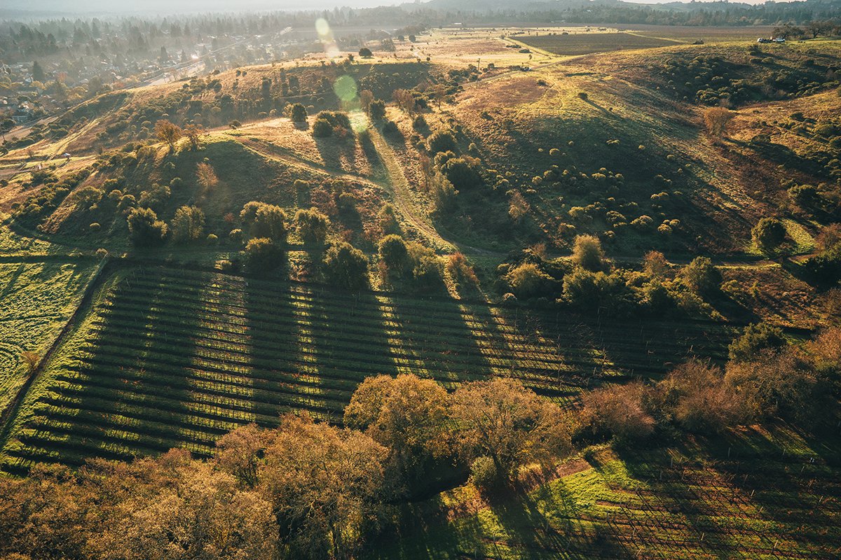 VisitCA's tweet image. Happy National #PlanforVacation Day! We'll be featuring California vacation photos all day, so get started and plan now! #TimeOffCalifornia