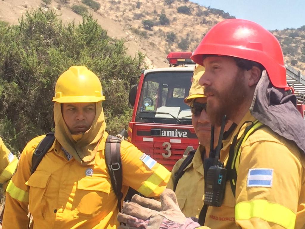 CONAF - Corporación Nacional Forestal tweet media