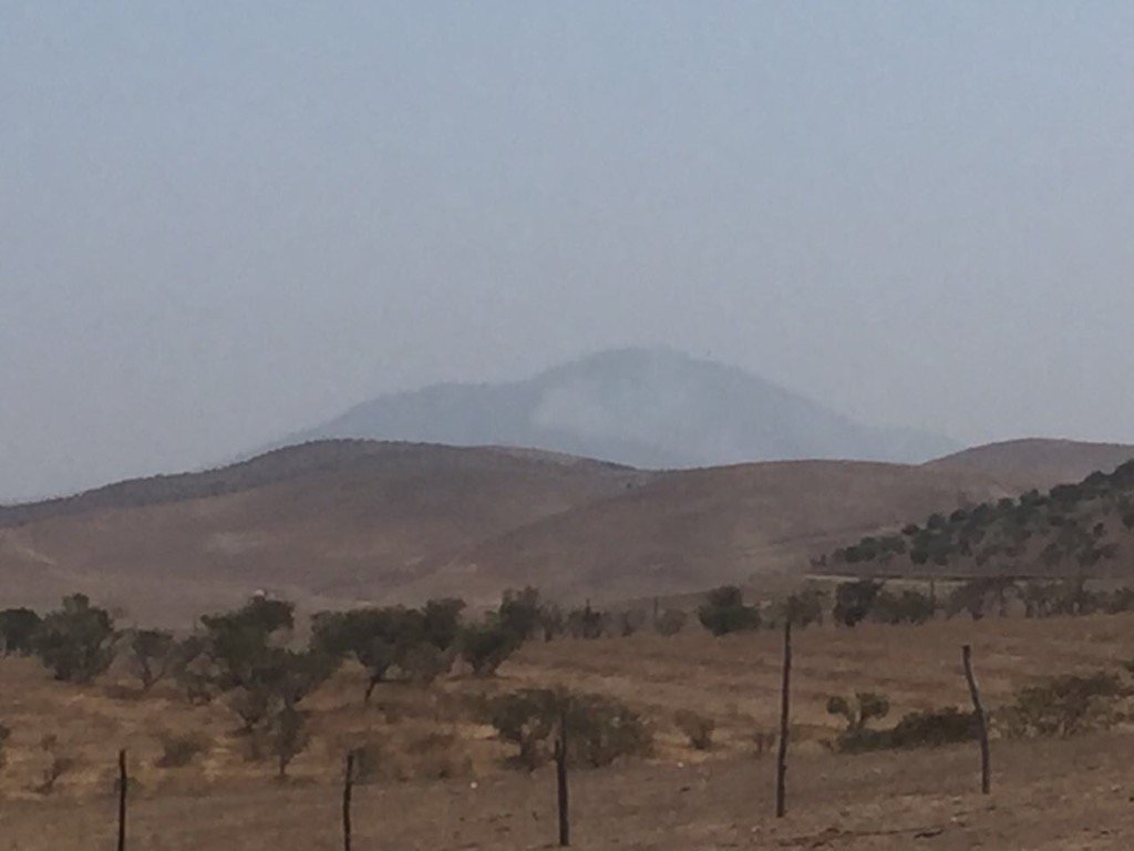 Quinta_Coquimbo's tweet photo. #IMAGENES a la distancia del #IF Incendio forestal en Fray Jorge (talinay) @Quinta_Coquimbo @conaf_minagri https://t.co/QTu3k4vjno
