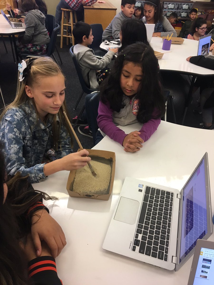 Suzy Kingsley tweet media