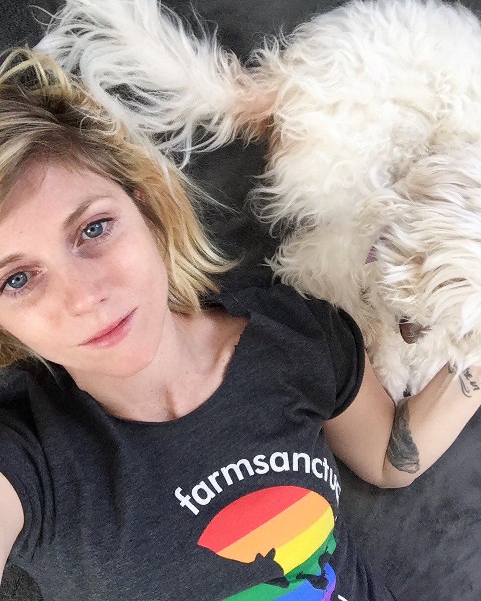 BURNT PALMS tweet media