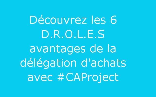 cap_project's tweet photo. Nous en avons listés 6, mais il y en a bien d'autres ! Nous allons vous les faire découvrir !#storyboard #delegation #achats #caproject https://t.co/7NnO9mxg85
