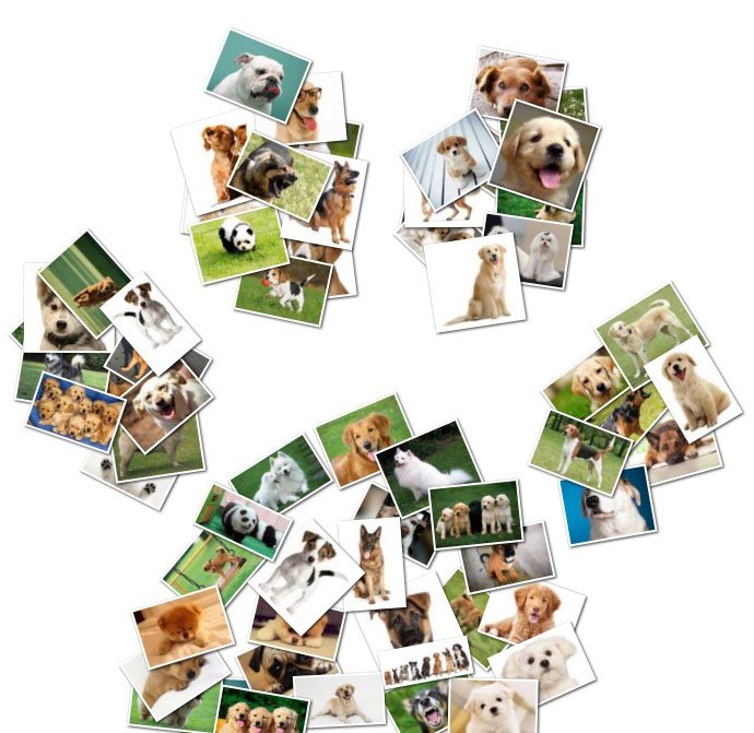 Dog walking services at an affordable rate --> CaryDogWalkers.com

#Cary #Apex #Morrisville #Raleigh #WakeCo #WesternWake #RTP #RDU #NC