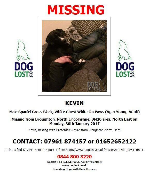 Forgetmenotted's tweet image. 