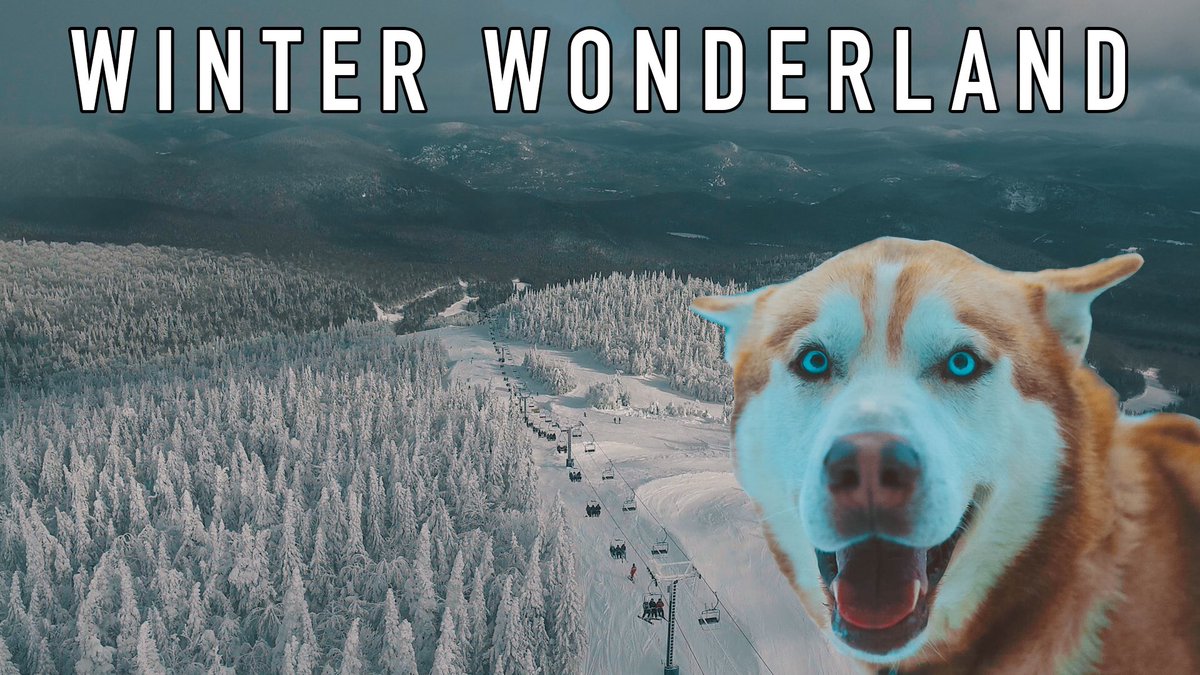 MarkDohner's tweet photo. YOU WON'T BELIEVE THE VIEWS IN CANADA! You don't wanna miss this vlog!! RT for a s/o! 😜❄️🇨🇦

https://t.co/yKD3FCqxpJ https://t.co/iMj7xS6ZLH