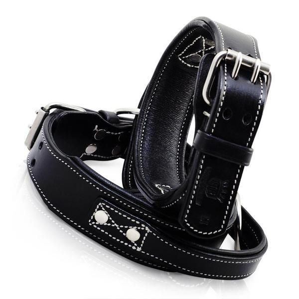 spoiledpit's tweet photo. Check out our high quality leather handle/agitation dog collar! https://t.co/dbfjVAo8xh https://t.co/uHevFXBX25