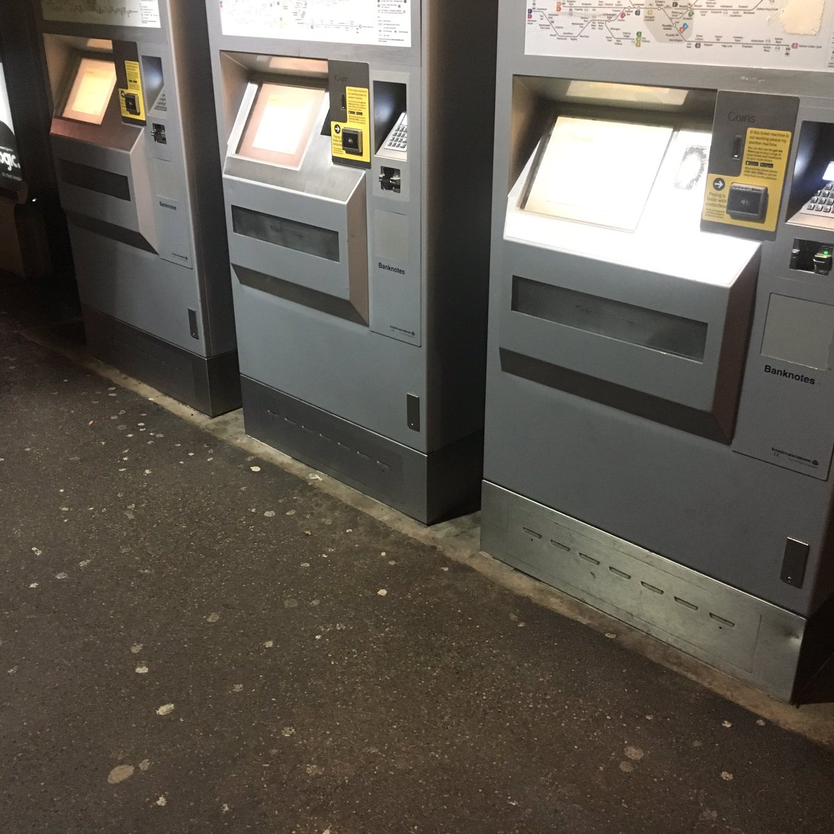 Lauren Garner tweet media