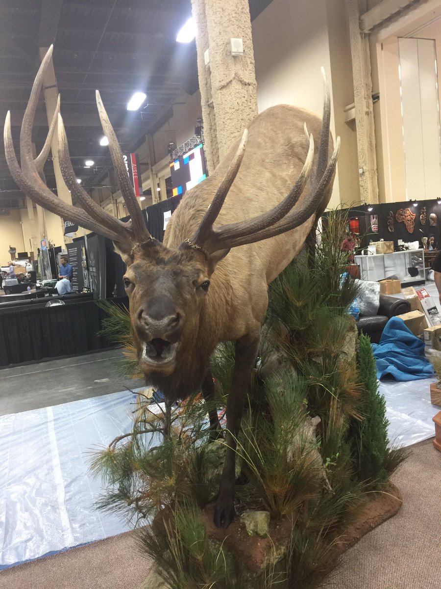 discodantheman's tweet photo. Getting setup for SCI. Booth construction underway. #DesignImmersive #Woodbury #SCI #FirstForHunters https://t.co/sg9w9KxEsC