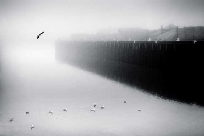 Chris Friel