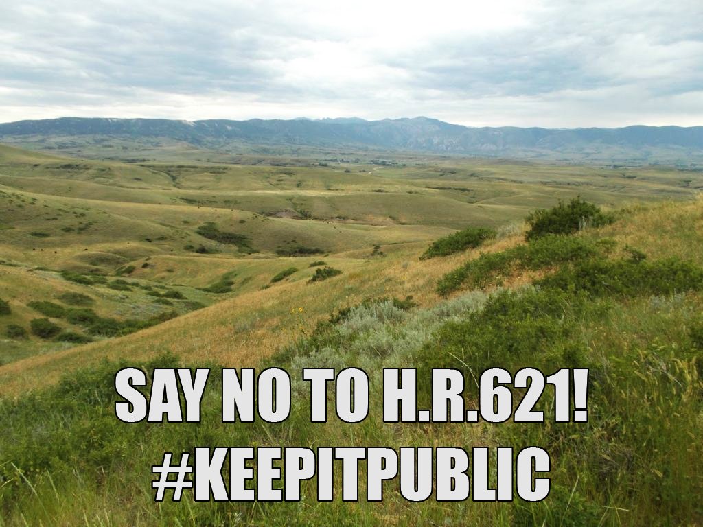 bowhunting1's tweet image. Rep @jasoninthehouse wants to sell 3.3 million acres of YOUR public land.  Don't let him! bowhunting.com/blog/2017/01/3… #keepitpublic