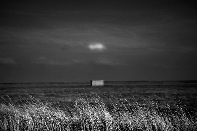 Chris Friel