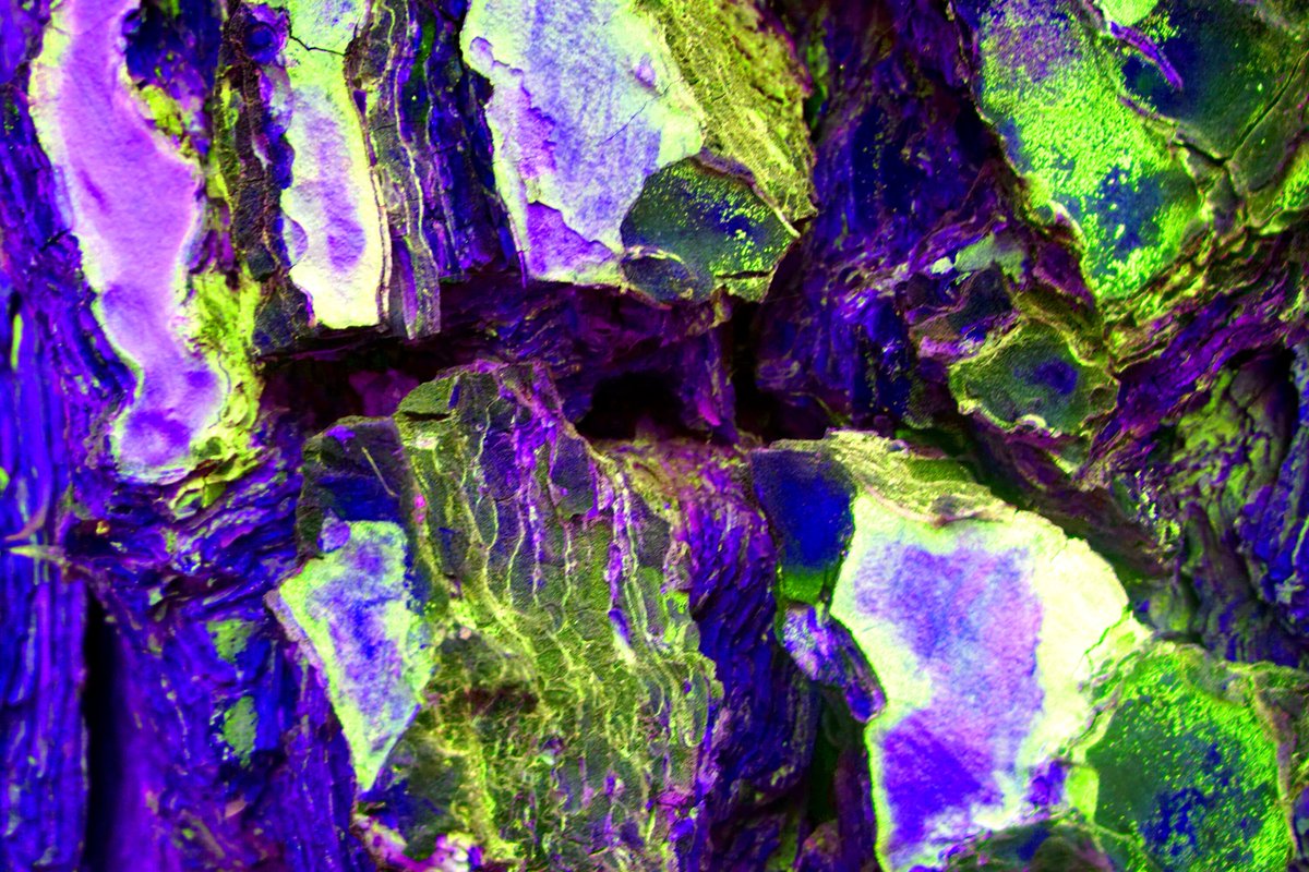 HILARIO RANERA tweet media