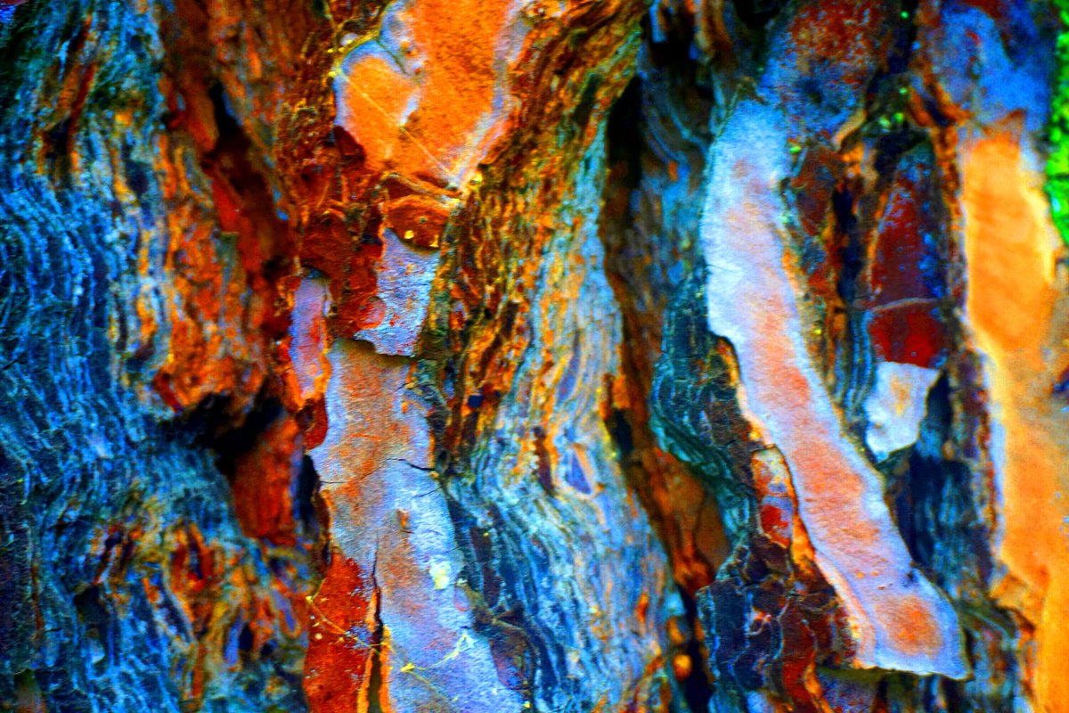 HILARIO RANERA tweet media