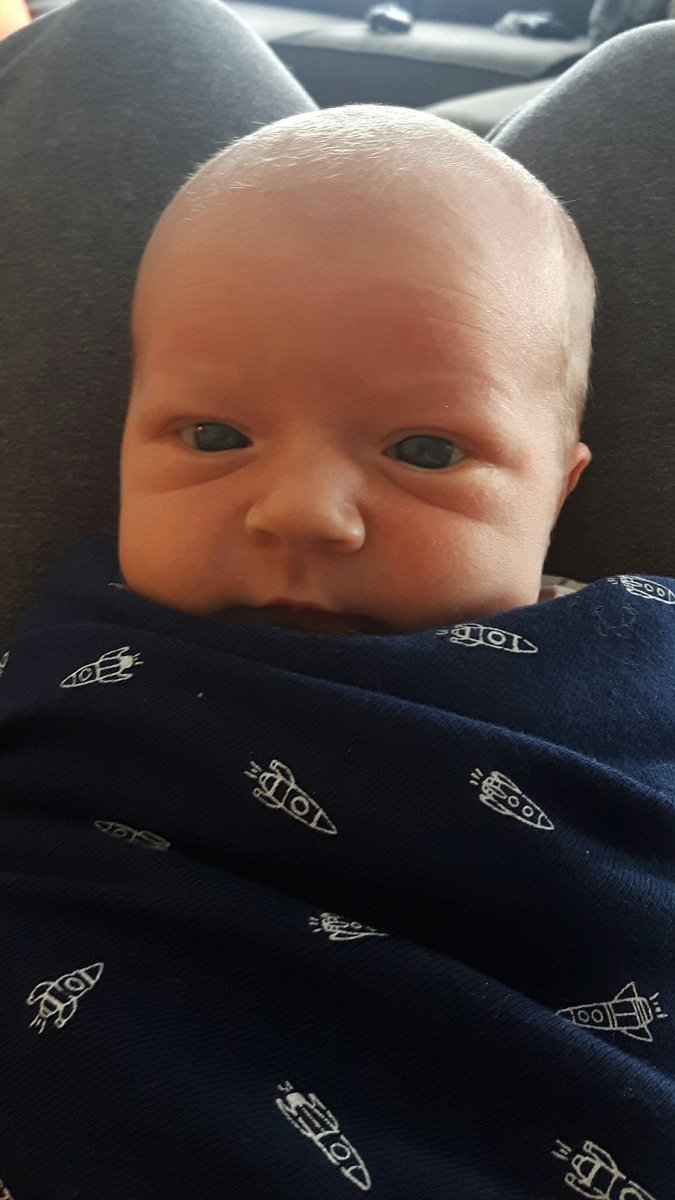 JoRoper22's tweet photo. This little man came home with us yesterday.  His sister isn't sure if we should keep him just yet, but we're working on it. https://t.co/KAhKrwR04t