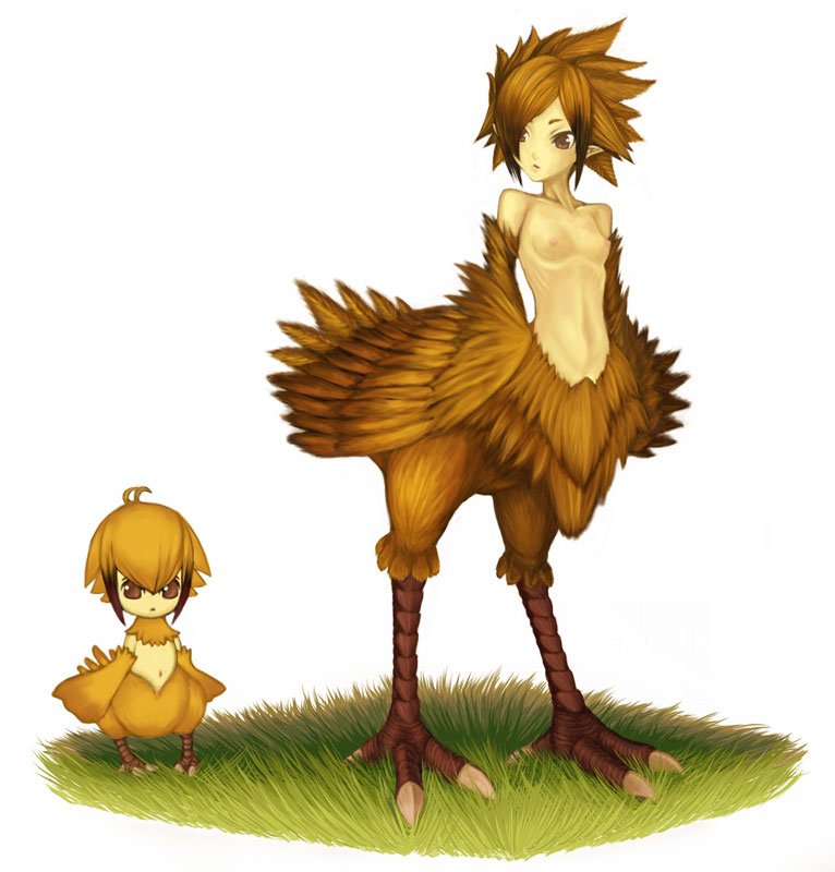 MonsterGirlsBot's tweet photo. https://t.co/hTrYPCuhYf #final_fantasy #chicobo #chocobo https://t.co/tZEVawNDr8