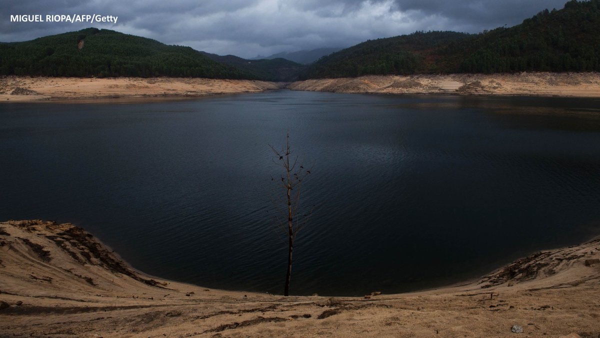 BBC Weather tweet media