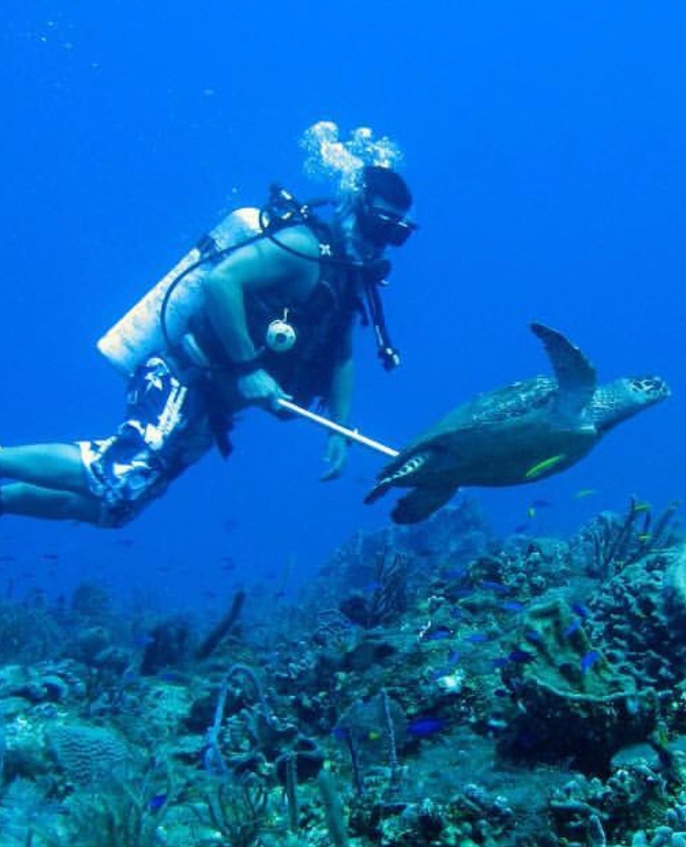 FerrCarrillo's tweet photo. What's your name little one? Let's get out of here and go watch the @TheEllenShow I'm talking to you #Turtle ❤🌎❤
We DEEPLY ❤U Ellen&amp;Portia❤️ https://t.co/GfAAGeE9Tc