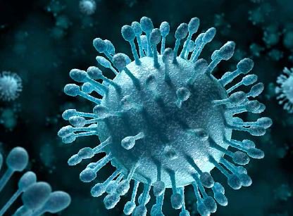 SiemensHealth's tweet photo. Learn how our new tailored dynamic configurations simplify workflow for infectious disease testing. #Molecular #kPCR https://t.co/6Ac1oAzfHW https://t.co/M0vezDmflr