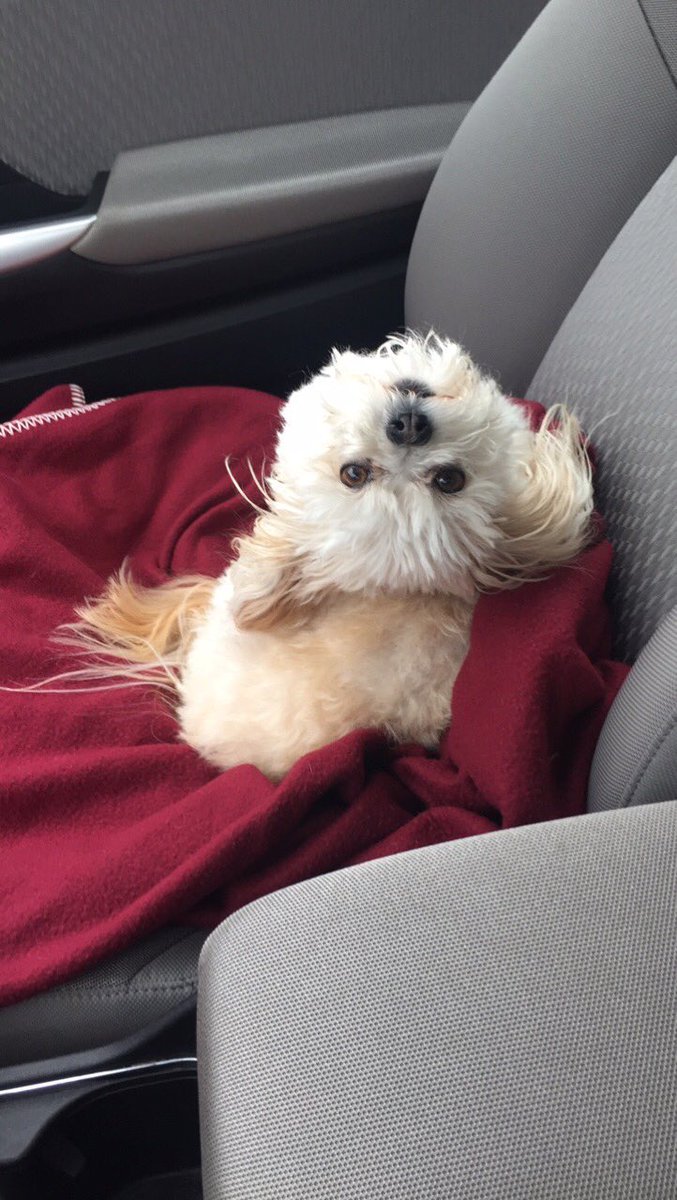 When you're mad at ur boo but they ask if u want food