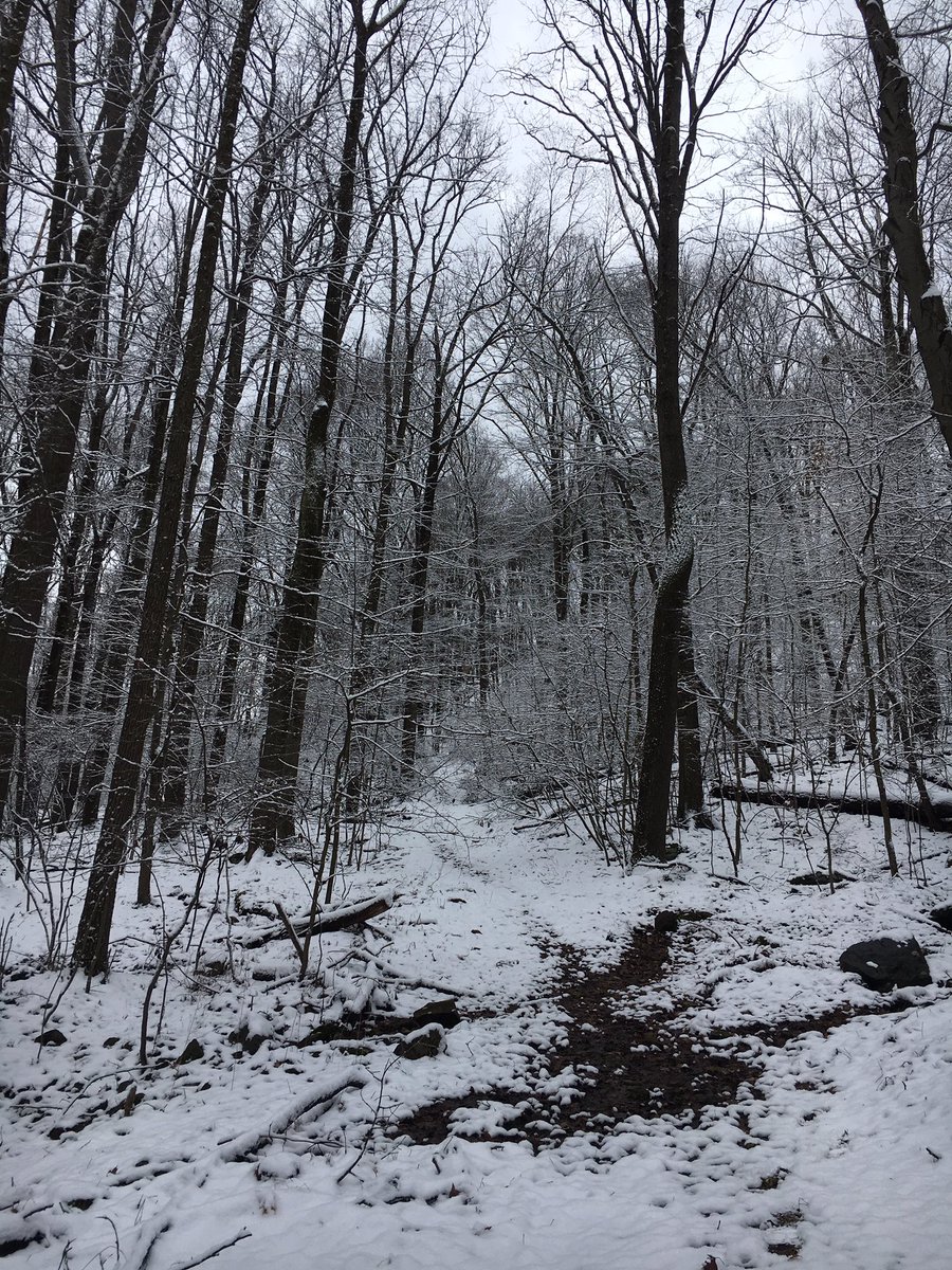 IUP_LOVELY's tweet photo. Snowy lovely woods #iup #indianapa https://t.co/N2dJajkUKs