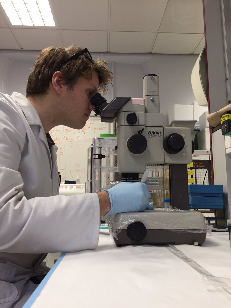 shefunilife's tweet photo. Long day in the lab sorting, screening and addition of drug compounds @technicians_mih https://t.co/1JmvfwqQ2e