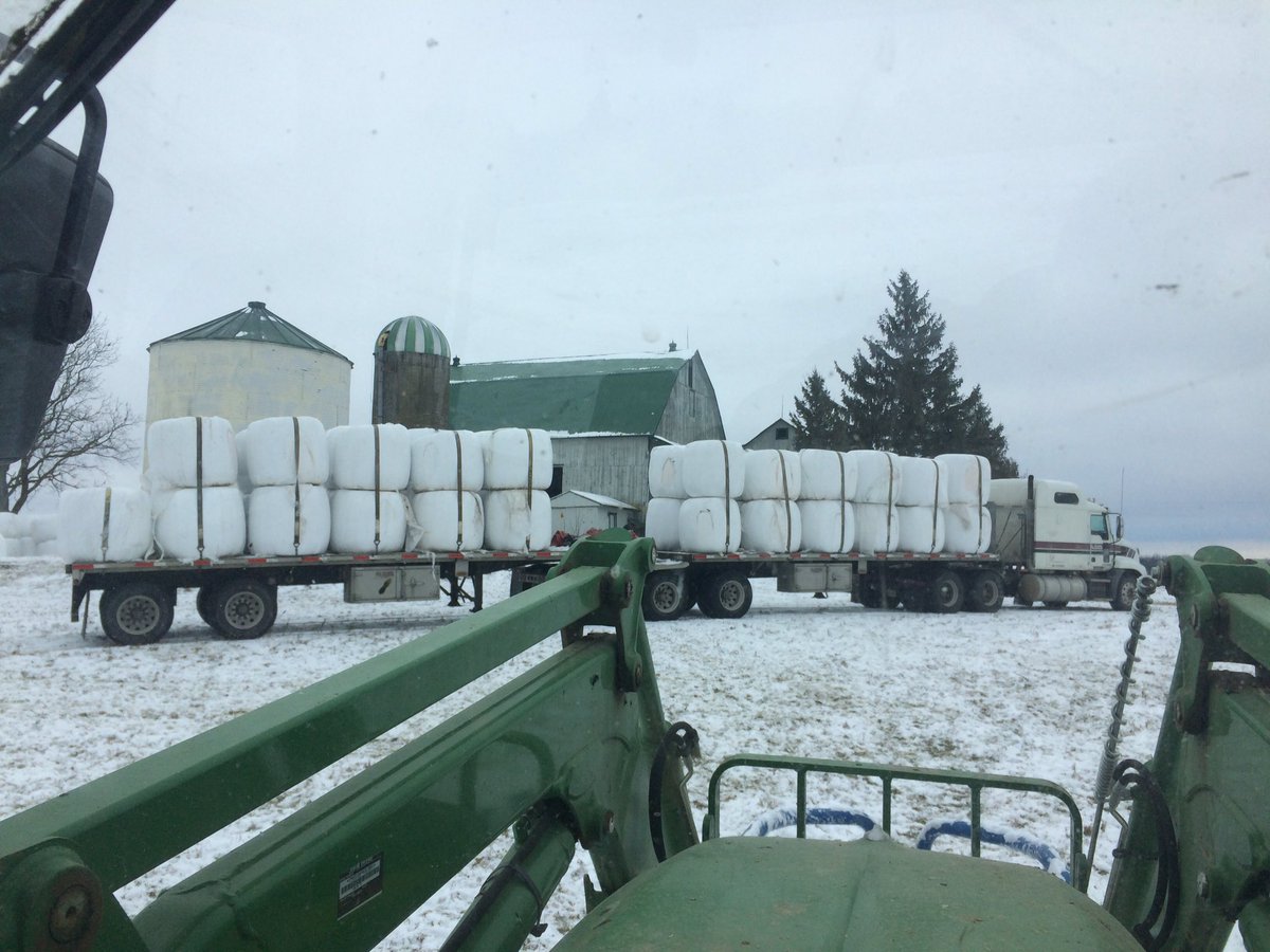 faircrestfarms's tweet photo. Another quality load of #hay16 heading out! #ontag https://t.co/rpjM4PsGOV