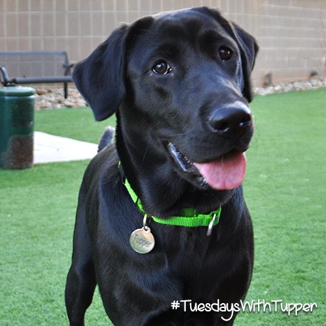 TupperLuvsESA's tweet photo. Did someone say it's Tuesday?!! https://t.co/CC6ZiLoOzd