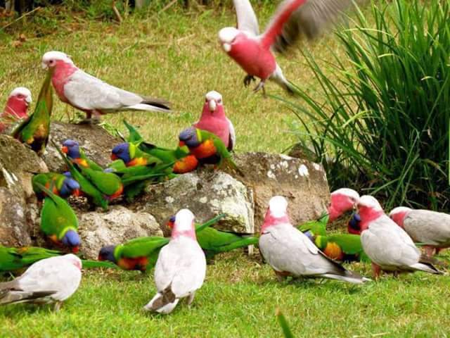 samiajeel7@Gmail.com tweet media