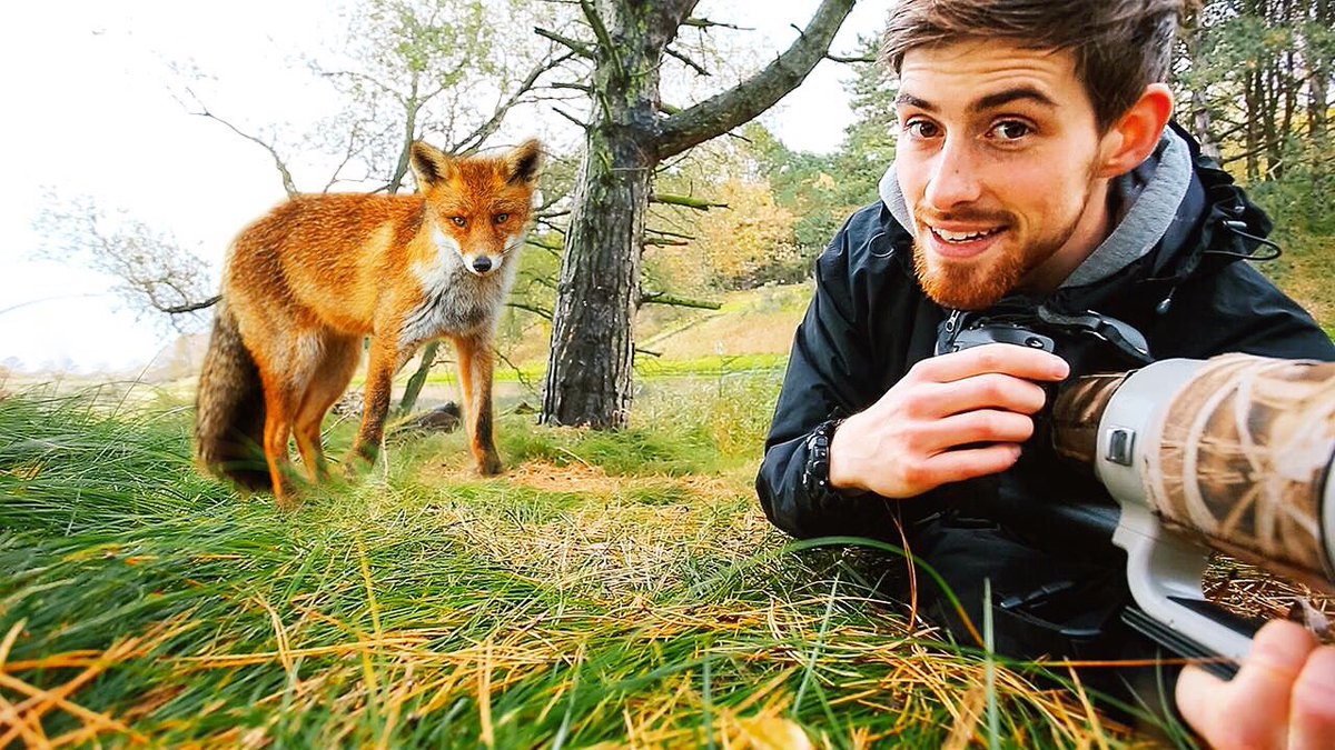 I photographed #foxes and made a #vlog about it 🦊 The #nature #is amazing! Go and check it out  -> youtu.be/Kz8IbctH49Q