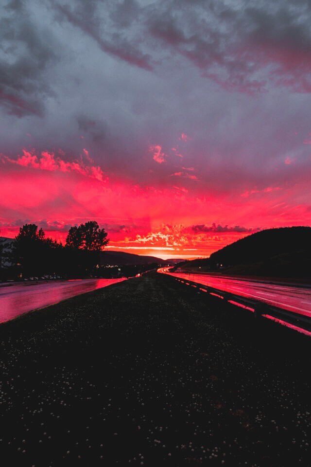 Skaterdb tweet media