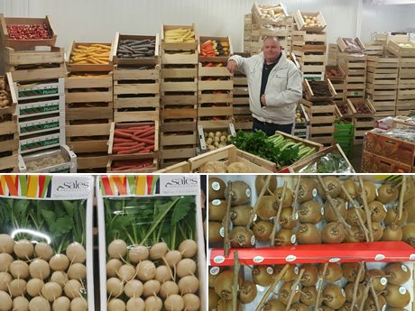 FreshPlaza tweet media