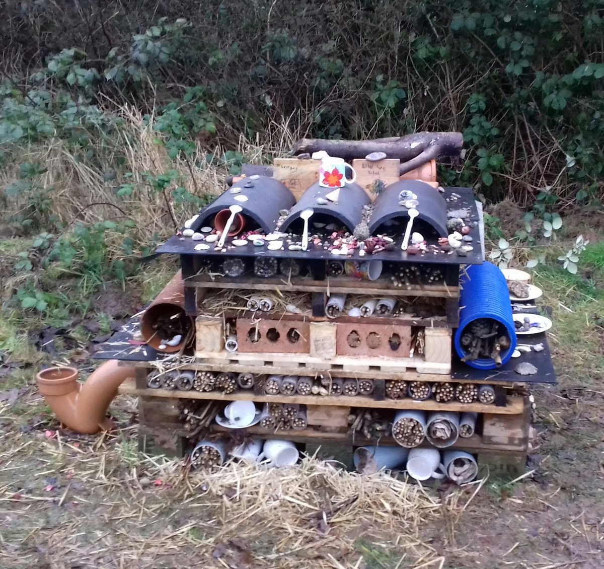 ewoodlovenature's tweet photo. Great job by pupil's at St George's,  building wildlife hotel @DerbysWildlife @DerwentWISE # wildlifehome https://t.co/vRFK33CL1V