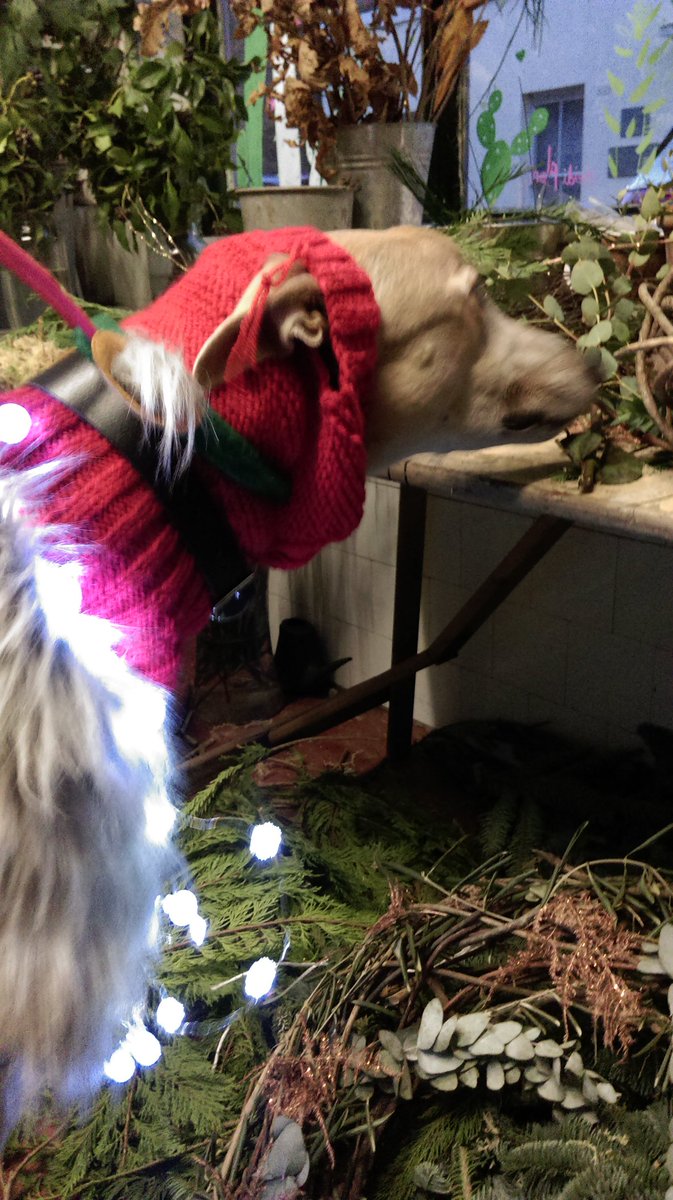 Tracy Kendall tweet media