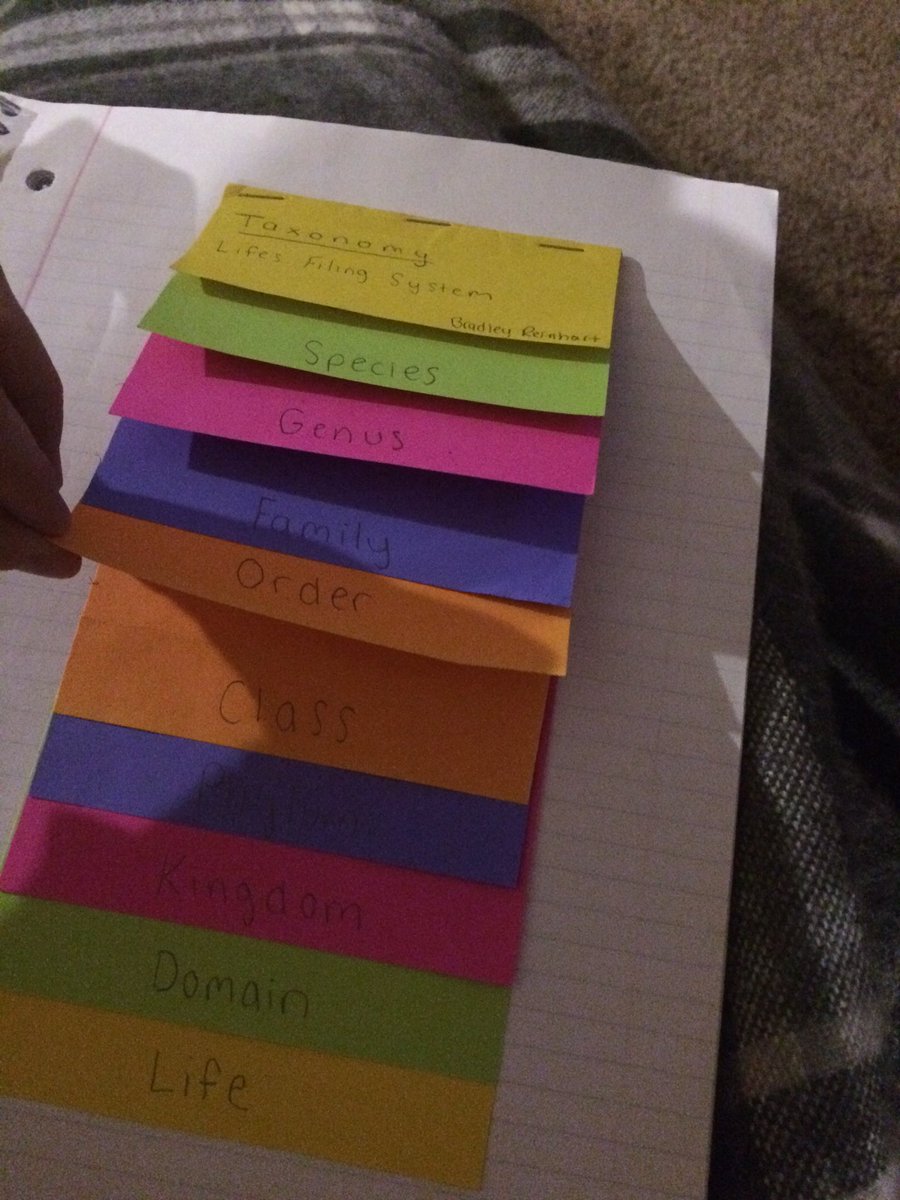 mishicotag's tweet image. Love seeing a variety of #education strategies and #ReflectiveConversations in #InteractiveNotebooks #handson #teachag #Teachers