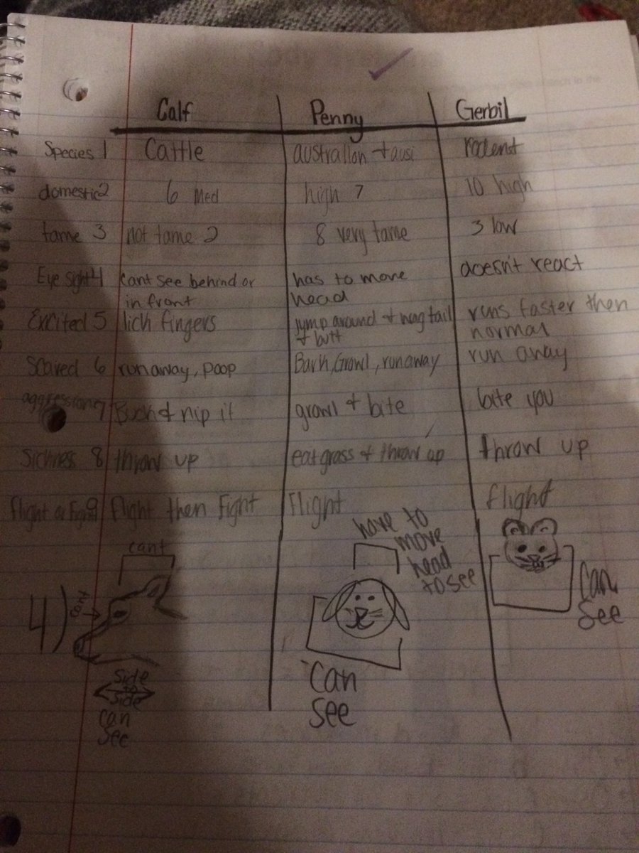 mishicotag's tweet image. Love seeing a variety of #education strategies and #ReflectiveConversations in #InteractiveNotebooks #handson #teachag #Teachers