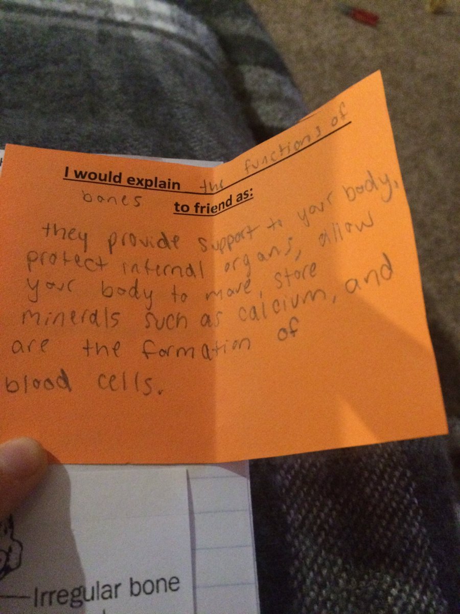 mishicotag's tweet image. Love seeing a variety of #education strategies and #ReflectiveConversations in #InteractiveNotebooks #handson #teachag #Teachers