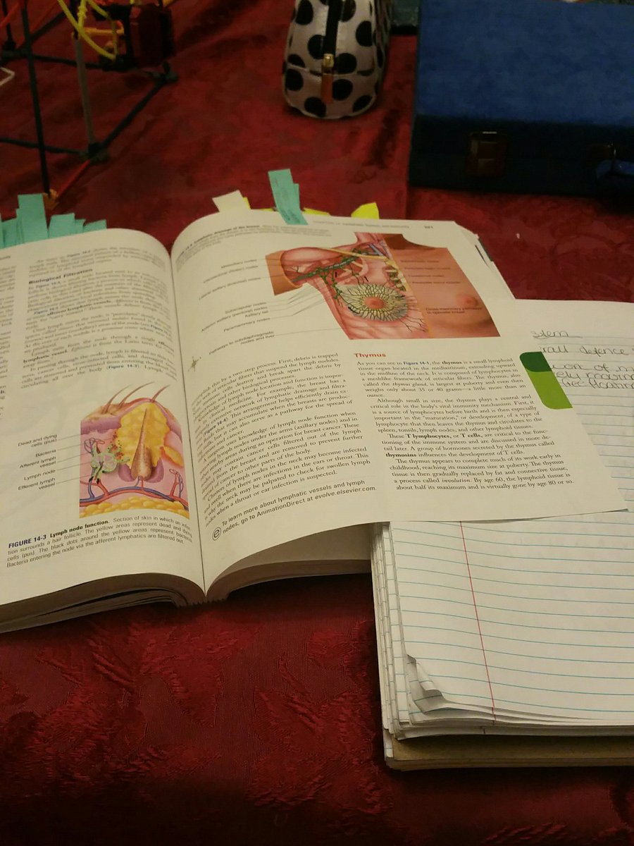 Linebean's tweet photo. Gah,study,study,study!!! https://t.co/zn8U2pqFiO
