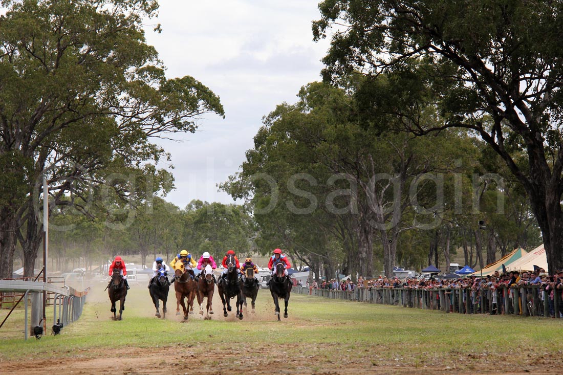 giuliosaggin's tweet photo. Burrandowan Picnic Races #burrandowan #countryraces #horseracing #kingaroy #picnicraces #spectators #adayinthecountry #burrandowanraces https://t.co/2FXa2v1oau