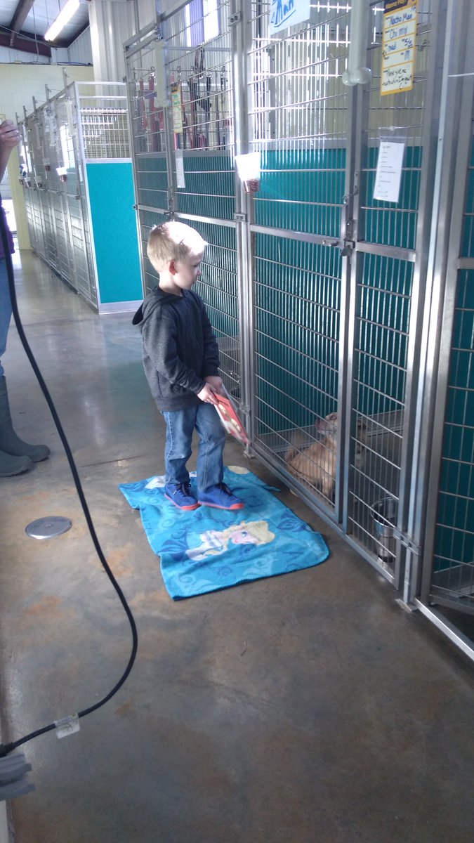 AnimalHarbor's tweet photo. We had one of our wonderful volunteers, Evan, read to Nacho Man today. They both seemed very interested in the story! https://t.co/gaxPd6AOQj