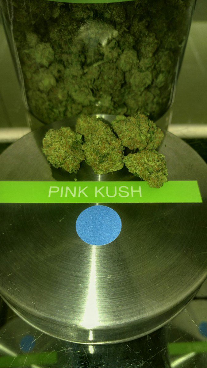 THTChamplain's tweet photo. (Indica Hybrid) Pink Kush https://t.co/hEPP3XN8dG https://t.co/m9MSm2uXT5