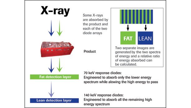 delysch's tweet image. Dexa Theory #DEXA #Densitometry