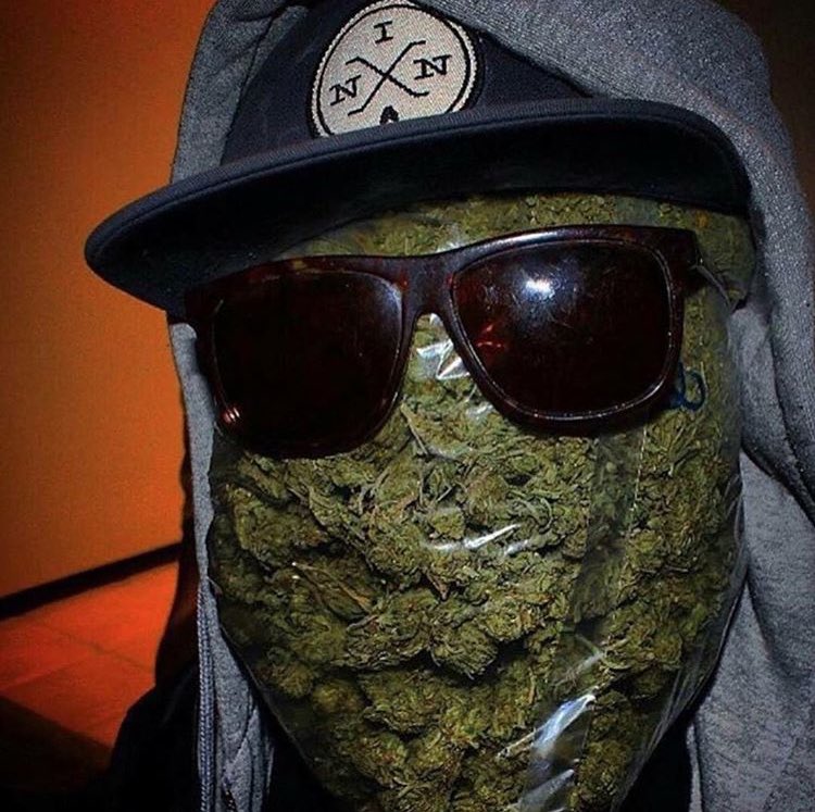 BuyLegalMeds.com tweet media