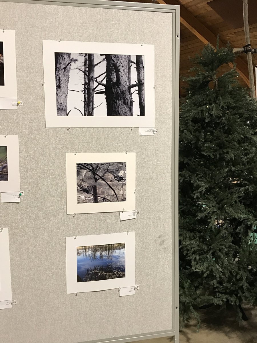 KerryParrishArt's tweet photo. Nature photography show@ Veteran acres! Tonight 6-9 #d155inspire #clcart #clphotography #vanatureshow https://t.co/5ikIxFR1U8