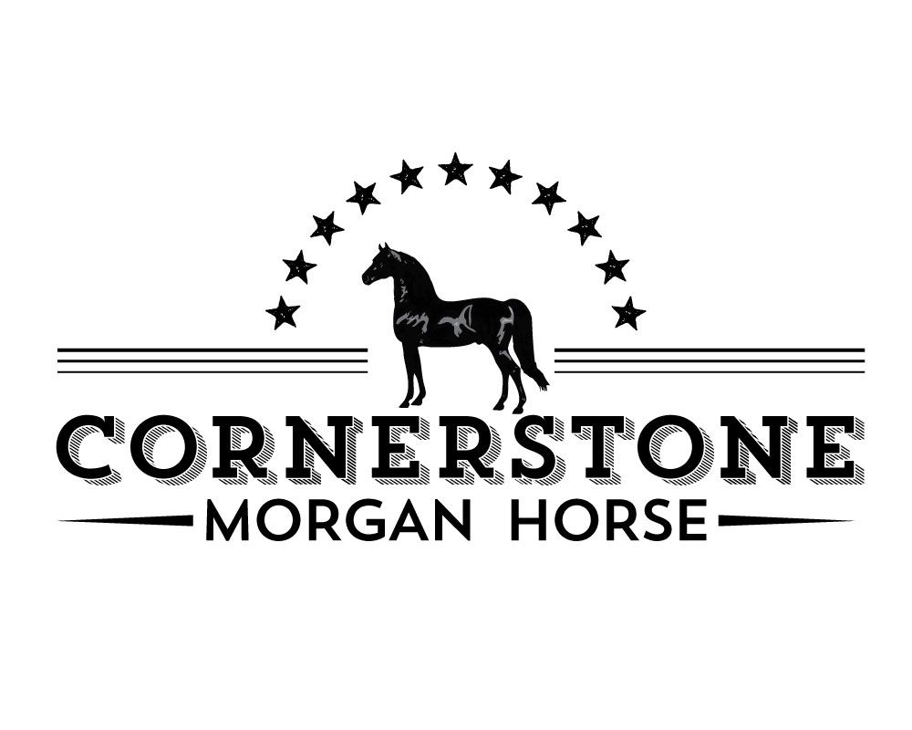 CowgirlMedia's tweet photo. New logo for Cornerstone Morgan Horse...this was fun! #logos #rusticdesign #westerndesign #equinedesign #ranchdesign #TheresaSheridanDesigns https://t.co/EdU3nz3AMR