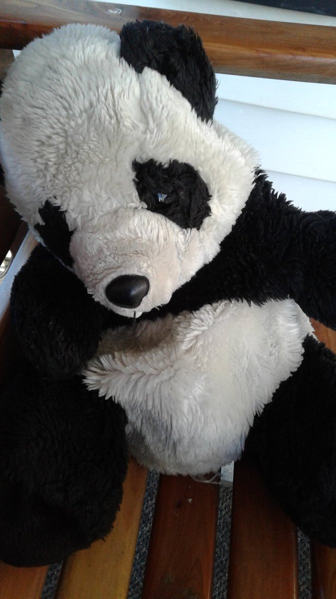 hiswarherchaos's tweet photo. Look who got some fresh stuffing!
#fluffypanda https://t.co/GvzTxRAV78
