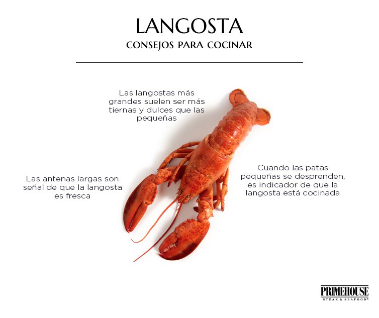 PrimeHouse_Rest's tweet photo. Elige la langosta perfecta #Experto #Lobster #Sibarita #SeaFood #PrimeHouse #RawBar https://t.co/teIrp1xZTx
