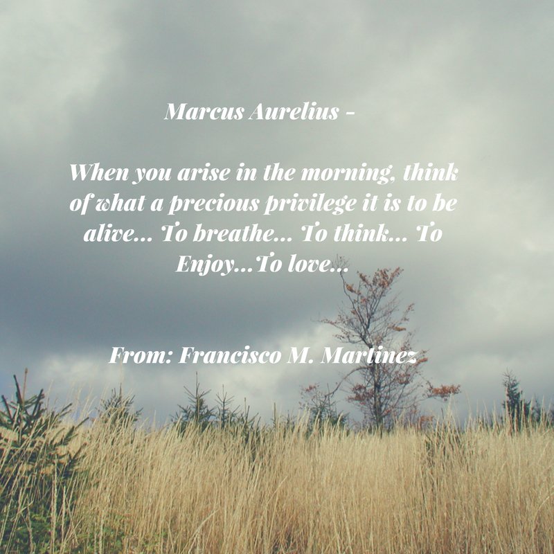 SongwritSinger's tweet image. franciscommartinez.com