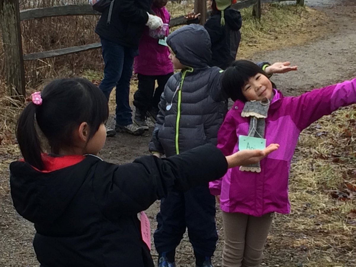 HeronFirsties's tweet photo. Waiting...waiting....waiting for the chickadees. They just weren't hungry enough to take our seeds. https://t.co/NaOeAizSM5